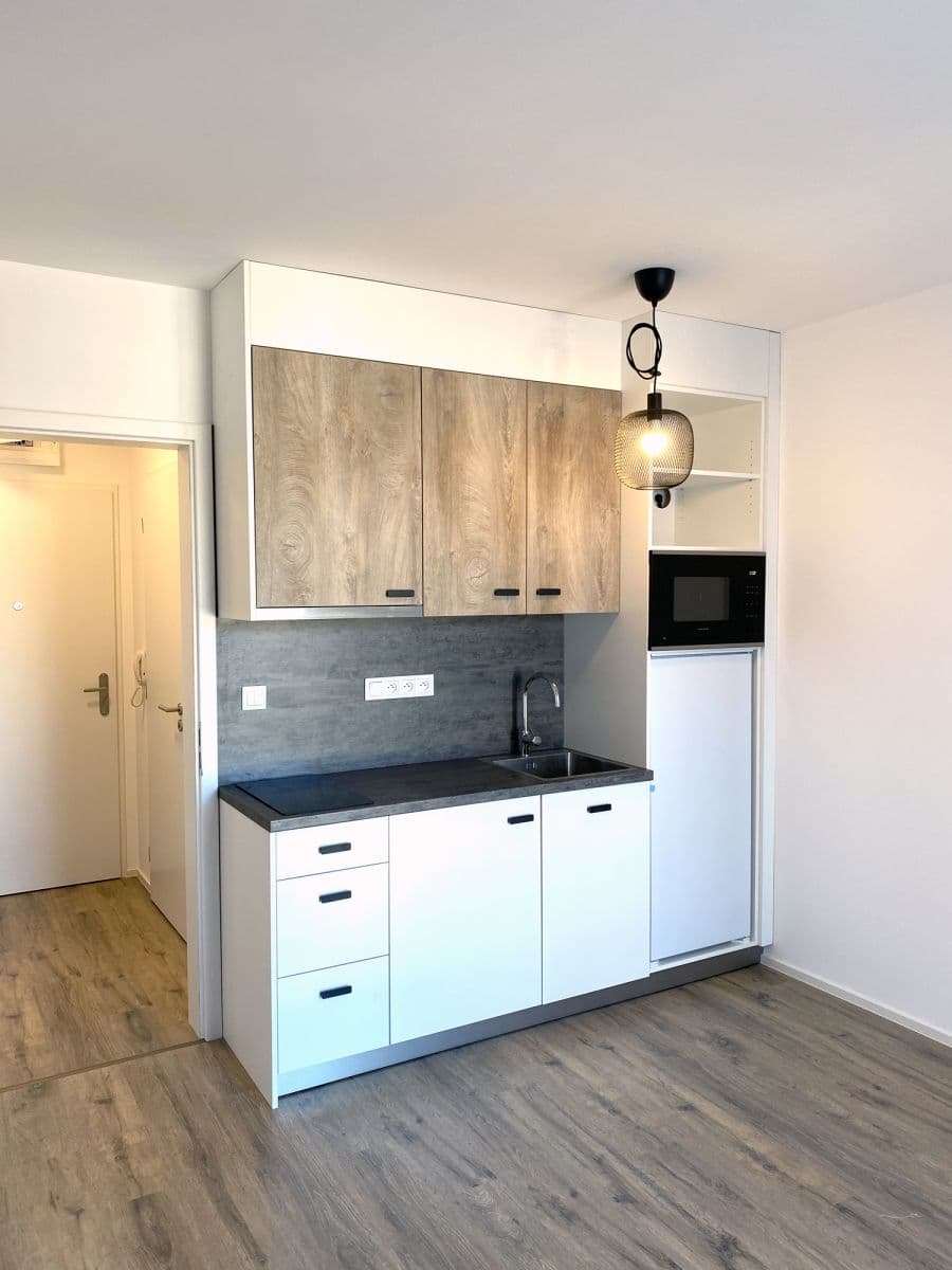 Pronájem bytu Garsoniéra 21 m², Chaloupkova, Brno, Jihomoravský kraj Pronájem bytu Garsoniéra 21 m², Chaloupkova, Brno, Jihomoravský kraj