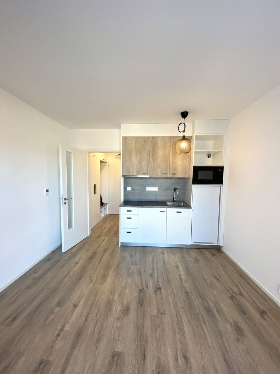 Pronájem bytu Garsoniéra 21 m², Chaloupkova, Brno, Jihomoravský kraj Pronájem bytu Garsoniéra 21 m², Chaloupkova, Brno, Jihomoravský kraj