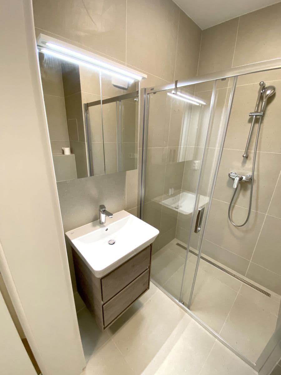 Pronájem bytu Garsoniéra 21 m², Chaloupkova, Brno, Jihomoravský kraj Pronájem bytu Garsoniéra 21 m², Chaloupkova, Brno, Jihomoravský kraj
