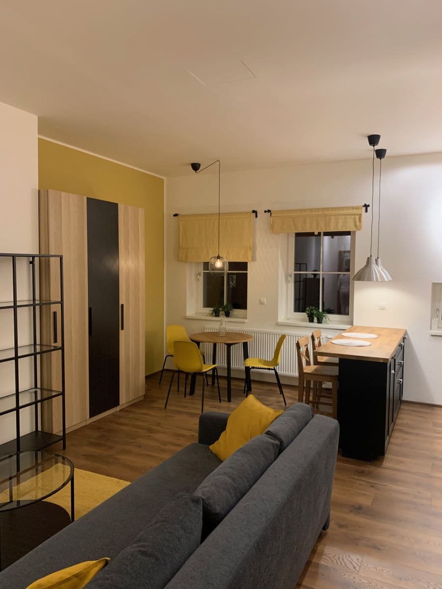 Pronájem bytu 1+kk 45 m², Kotlářská, Brno, Jihomoravský kraj Pronájem bytu 1+kk 45 m², Kotlářská, Brno, Jihomoravský kraj