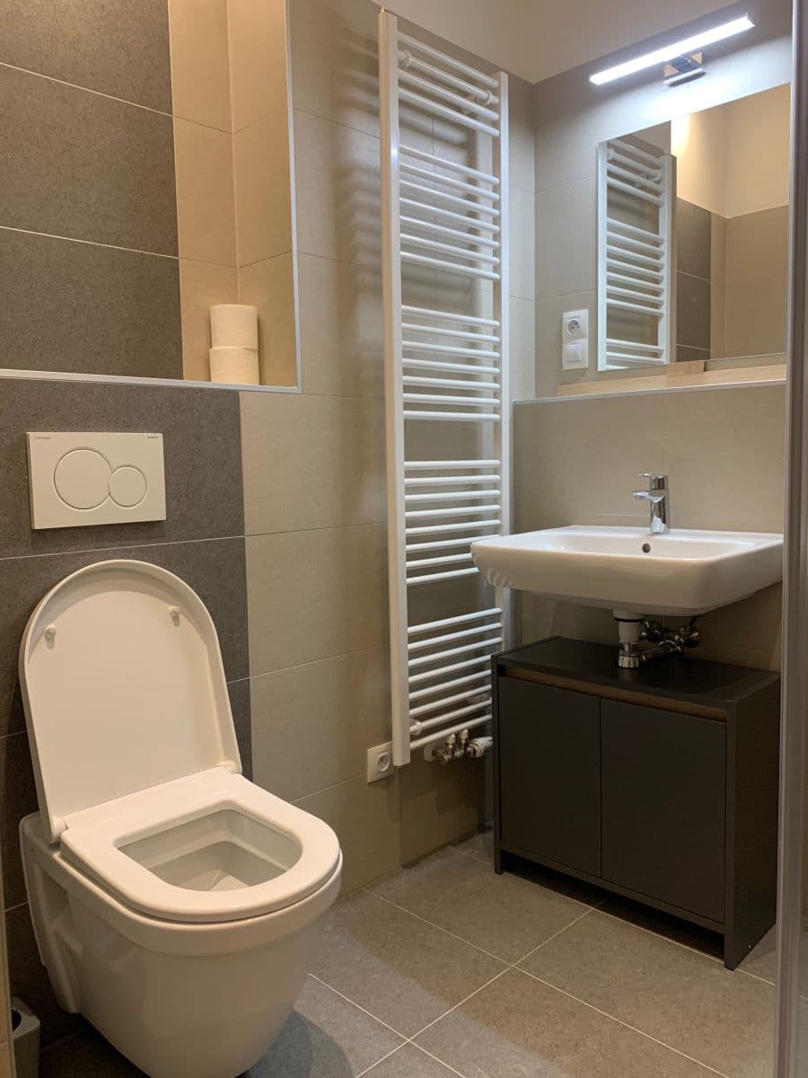 Pronájem bytu 1+kk 45 m², Kotlářská, Brno, Jihomoravský kraj Pronájem bytu 1+kk 45 m², Kotlářská, Brno, Jihomoravský kraj