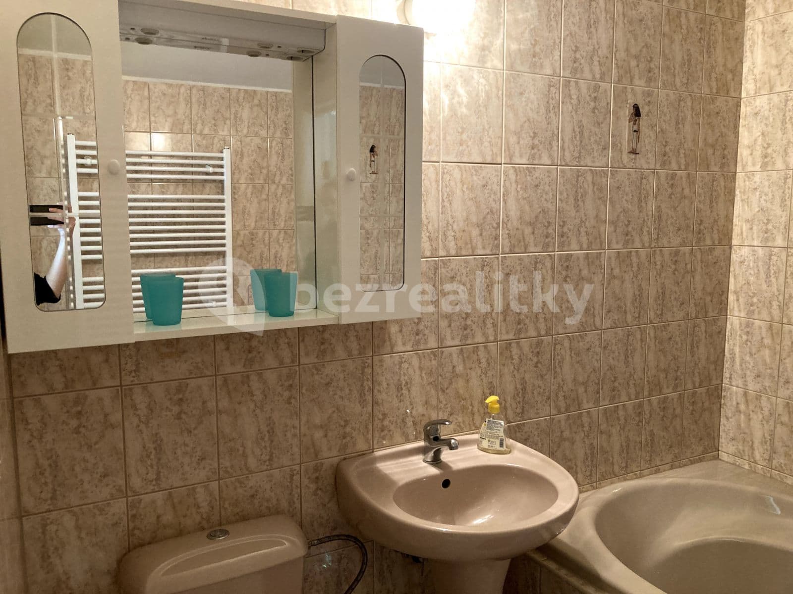 Pronájem bytu 1+kk 20 m², U Křížku, Průhonice, Středočeský kraj Pronájem bytu 1+kk 20 m², U Křížku, Průhonice, Středočeský kraj