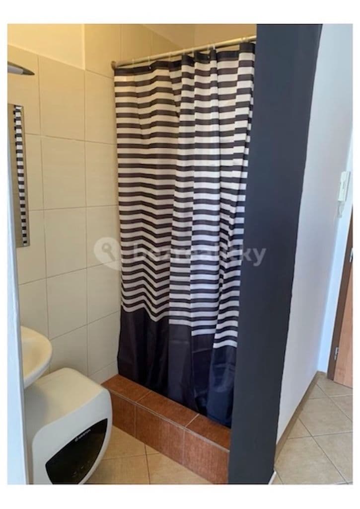 Pronájem bytu 1+kk 21 m², Bořivojova, Praha, Praha Pronájem bytu 1+kk 21 m², Bořivojova, Praha, Praha