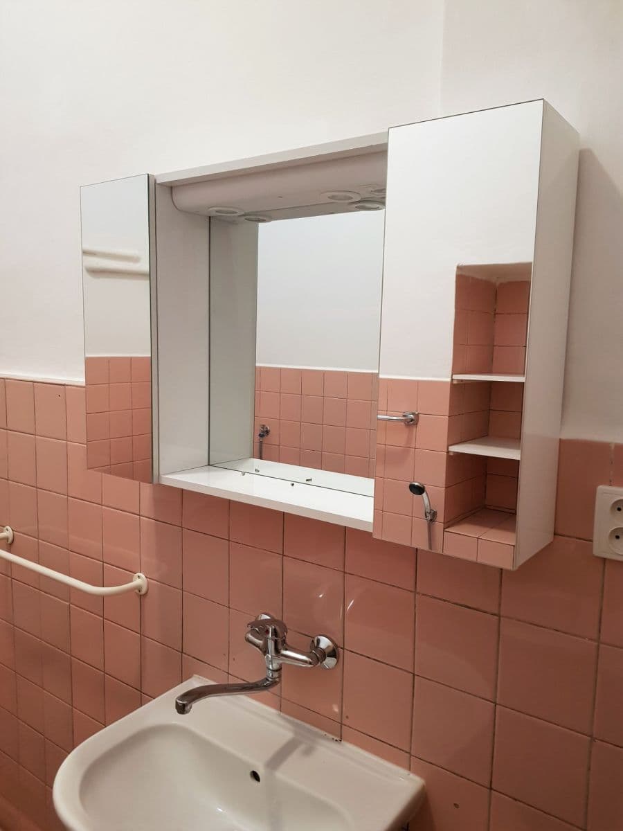 Pronájem bytu 4+kk 115 m², Hálkova, Plzeň, Plzeňský kraj Pronájem bytu 4+kk 115 m², Hálkova, Plzeň, Plzeňský kraj