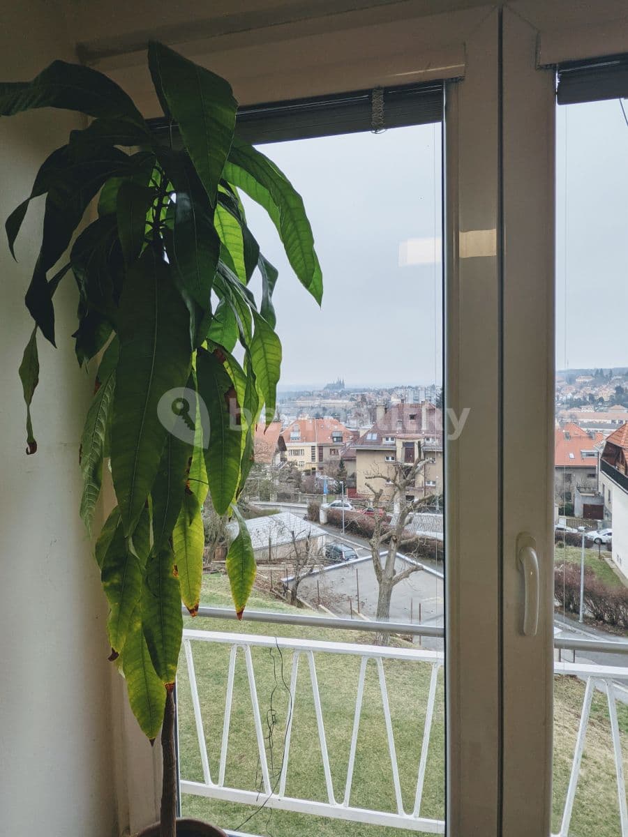 Pronájem bytu 2+1 50 m², Vostrovská, Praha, Praha Pronájem bytu 2+1 50 m², Vostrovská, Praha, Praha