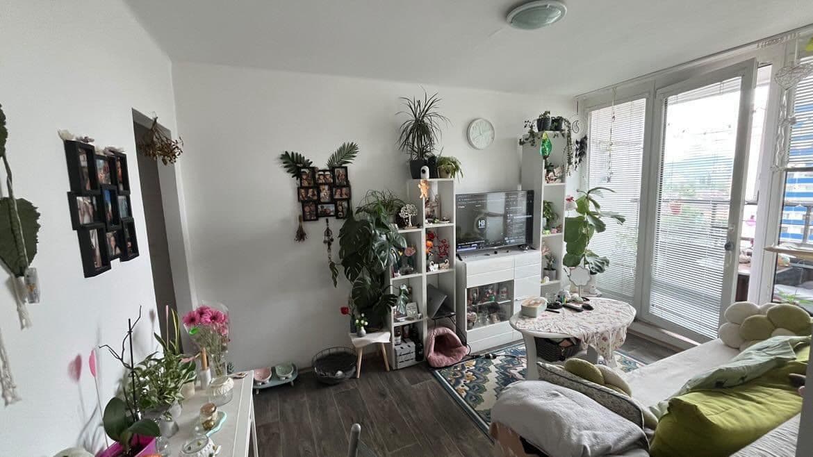 Pronájem bytu 1+1 35 m², Třída Míru, Beroun, Středočeský kraj Pronájem bytu 1+1 35 m², Třída Míru, Beroun, Středočeský kraj