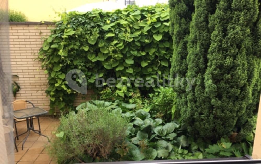 Pronájem bytu 1+1 46 m², Cetyňská, Praha, Praha Pronájem bytu 1+1 46 m², Cetyňská, Praha, Praha