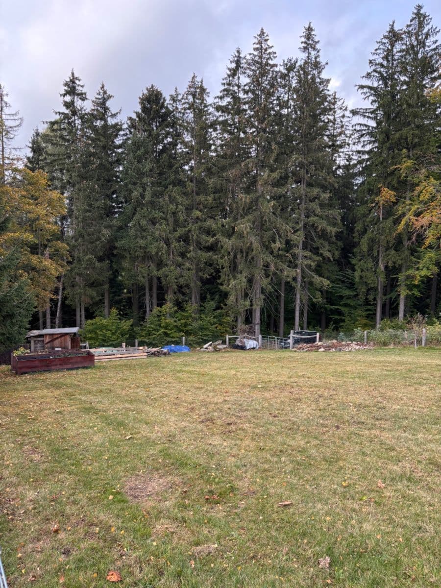 Prodej pozemku 2.342 m², Benecko, Liberecký kraj Prodej pozemku 2.342 m², Benecko, Liberecký kraj