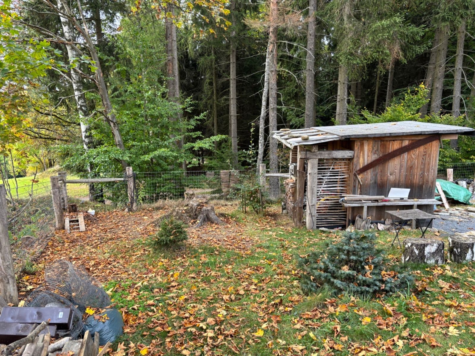 Prodej pozemku 2.342 m², Benecko, Liberecký kraj Prodej pozemku 2.342 m², Benecko, Liberecký kraj