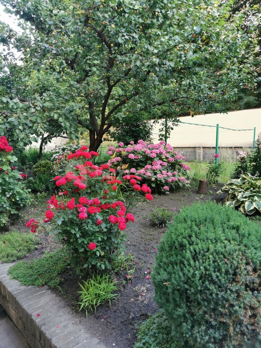 Pronájem bytu 2+kk 50 m², Sokolovská, Praha, Praha Pronájem bytu 2+kk 50 m², Sokolovská, Praha, Praha