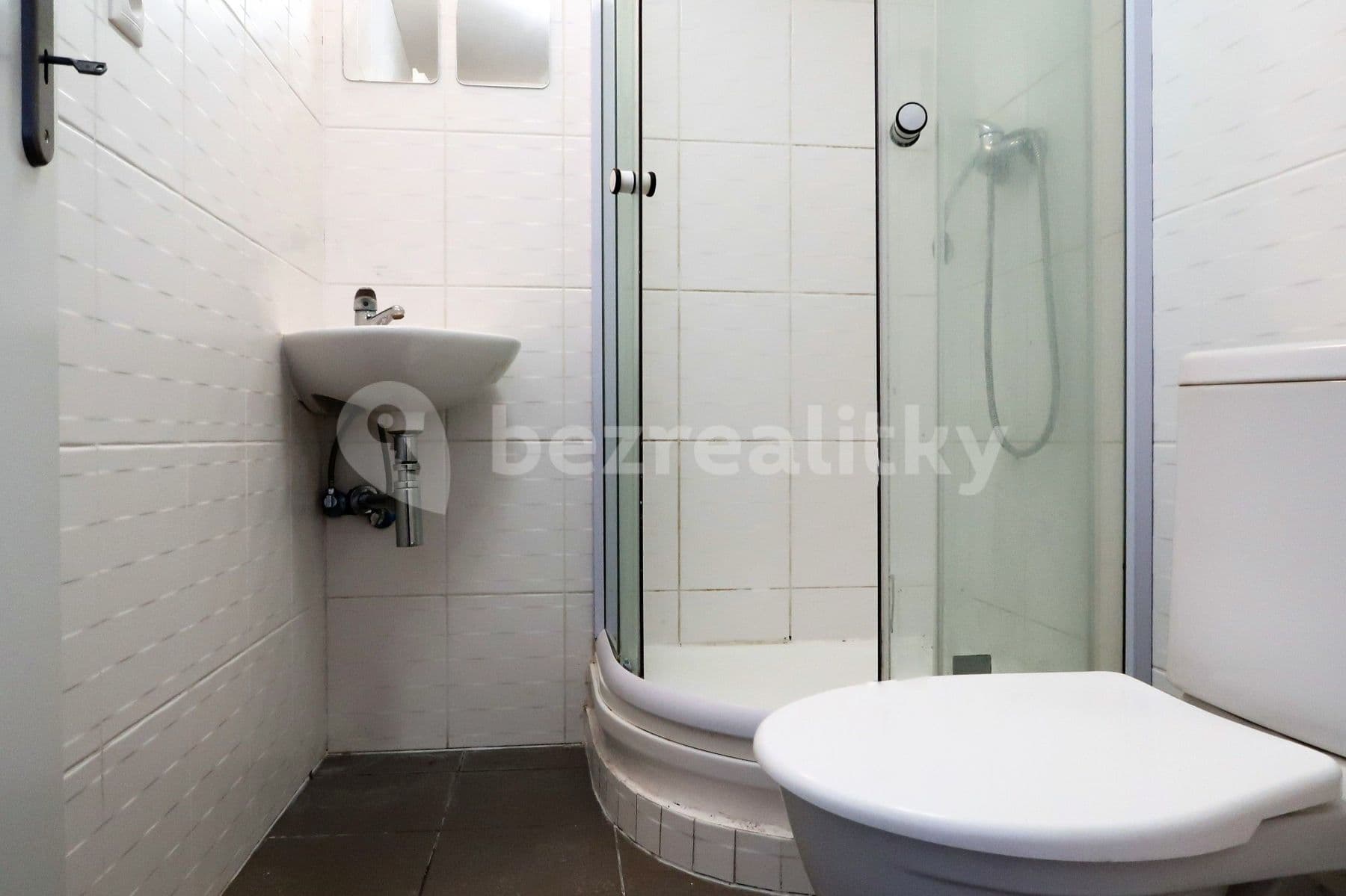 Pronájem bytu 1+kk 24 m², Přemyslovská, Praha, Praha Pronájem bytu 1+kk 24 m², Přemyslovská, Praha, Praha