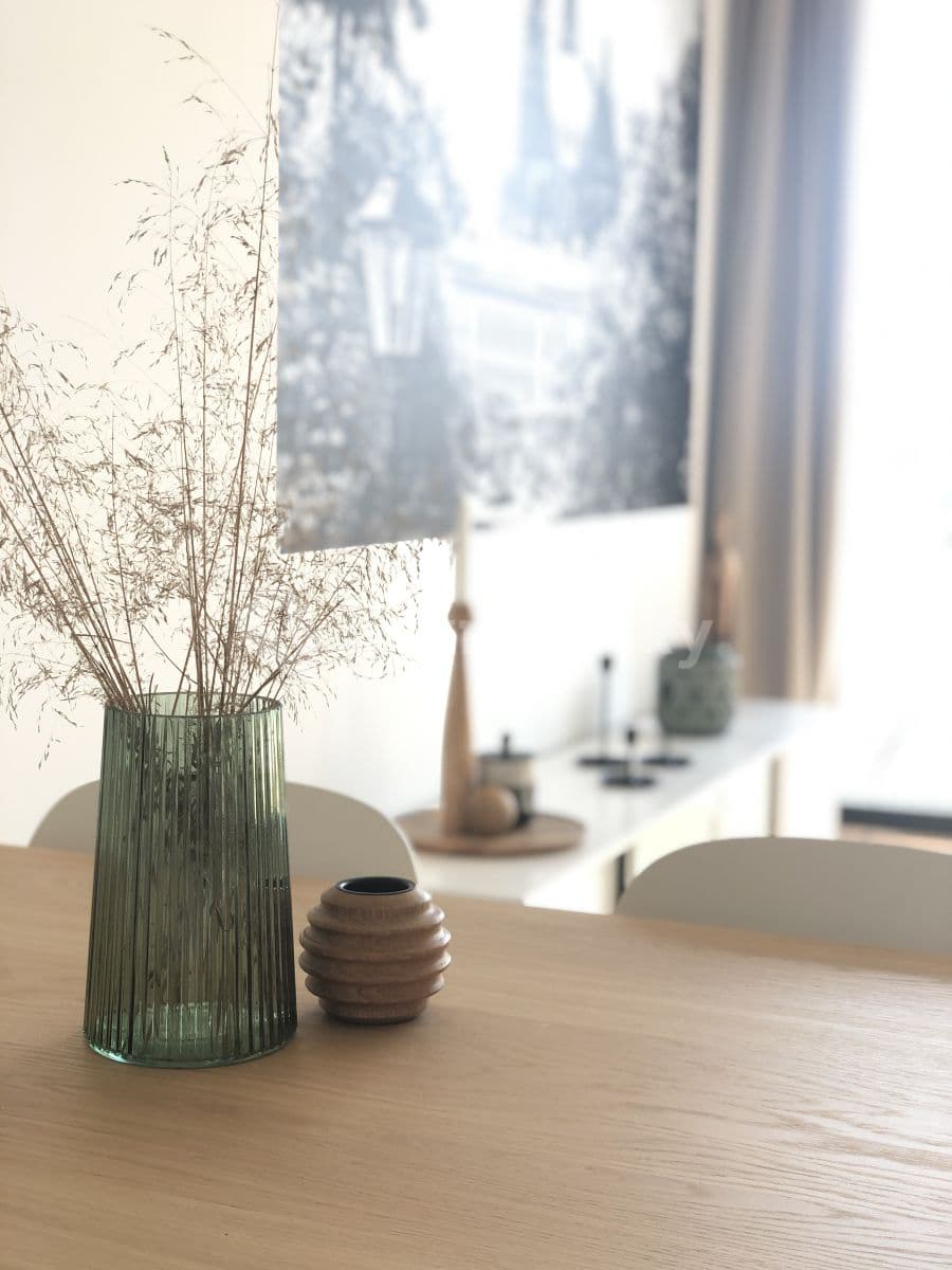 Pronájem bytu 1+kk 35 m², Jeronýmova, Brno, Jihomoravský kraj Pronájem bytu 1+kk 35 m², Jeronýmova, Brno, Jihomoravský kraj