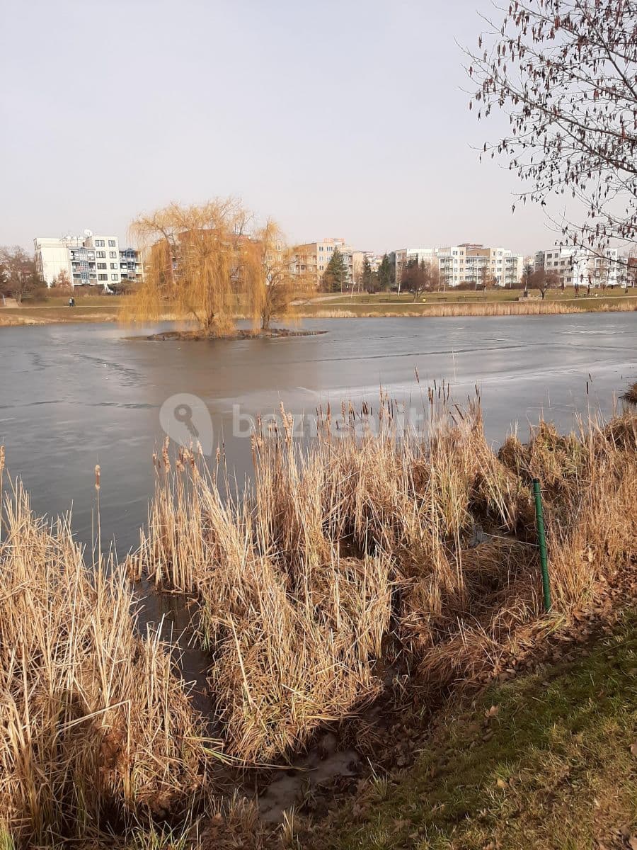 Pronájem bytu 2+kk 43 m², Sezemínská, Praha, Praha Pronájem bytu 2+kk 43 m², Sezemínská, Praha, Praha