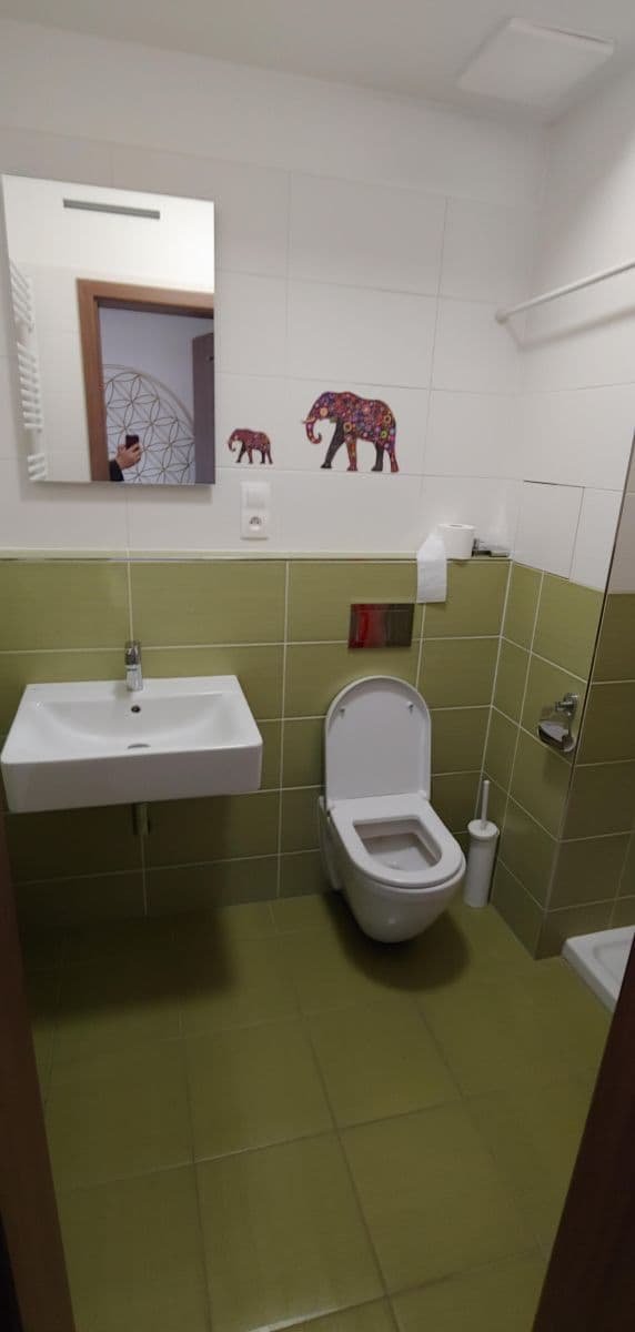 Pronájem bytu 1+kk 36 m², Nad Úžlabinou, Praha, Praha Pronájem bytu 1+kk 36 m², Nad Úžlabinou, Praha, Praha