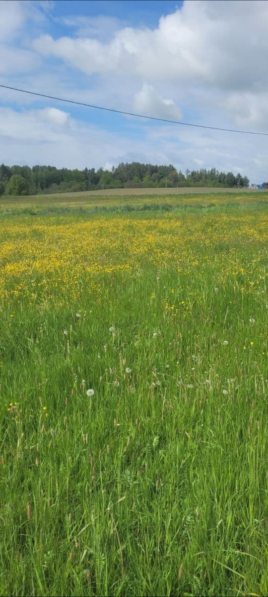 Prodej pozemku 1.349 m², Tojice, Plzeňský kraj Prodej pozemku 1.349 m², Tojice, Plzeňský kraj