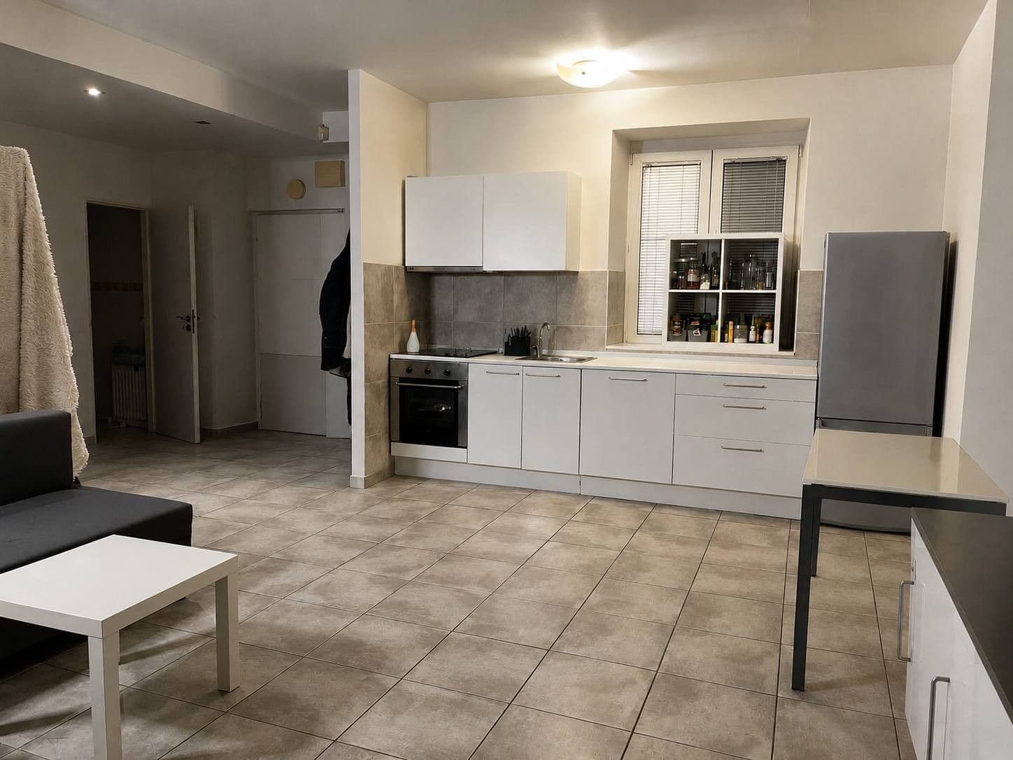Pronájem bytu 2+kk 59 m², Pekařská, Brno, Jihomoravský kraj Pronájem bytu 2+kk 59 m², Pekařská, Brno, Jihomoravský kraj