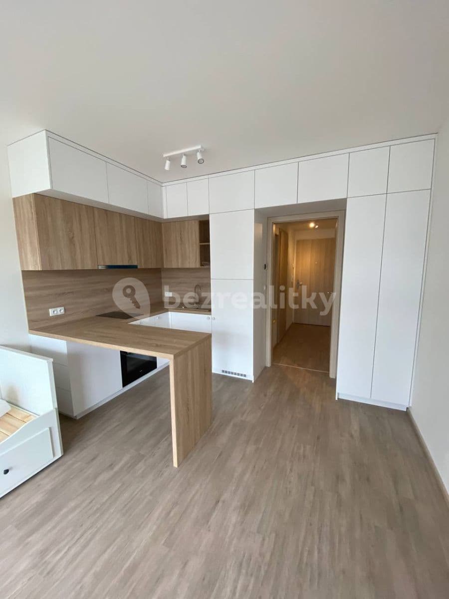 Pronájem bytu 1+kk 30 m², Do Zahrádek Ⅰ, Praha, Praha Pronájem bytu 1+kk 30 m², Do Zahrádek Ⅰ, Praha, Praha
