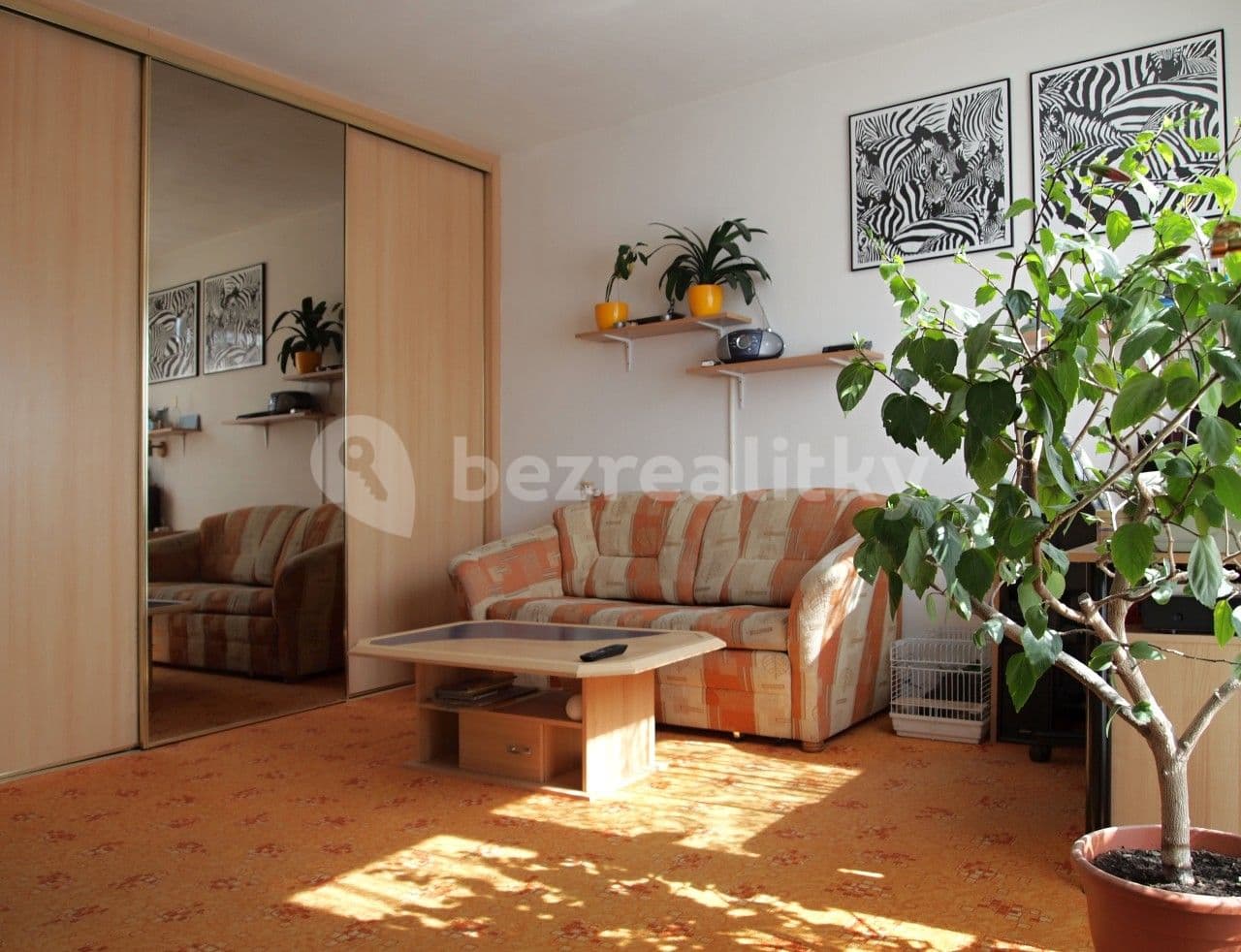 Pronájem bytu 1+1 30 m², Bednářova, Brno, Jihomoravský kraj Pronájem bytu 1+1 30 m², Bednářova, Brno, Jihomoravský kraj