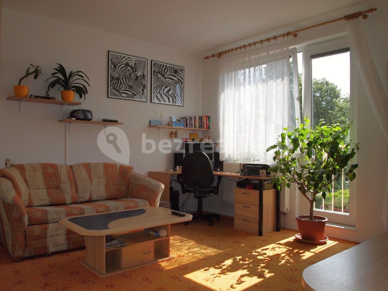 Pronájem bytu 1+1 30 m², Bednářova, Brno, Jihomoravský kraj Pronájem bytu 1+1 30 m², Bednářova, Brno, Jihomoravský kraj