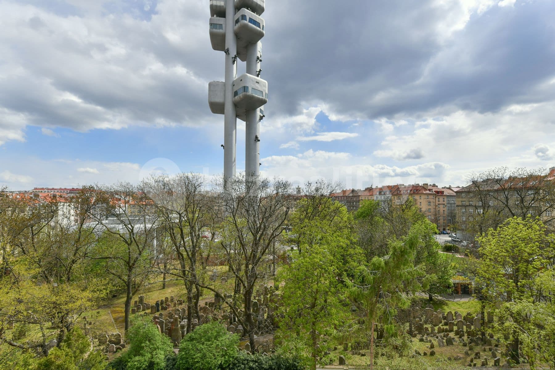 Pronájem bytu 2+kk 53 m², Kubelíkova, Praha, Praha Pronájem bytu 2+kk 53 m², Kubelíkova, Praha, Praha