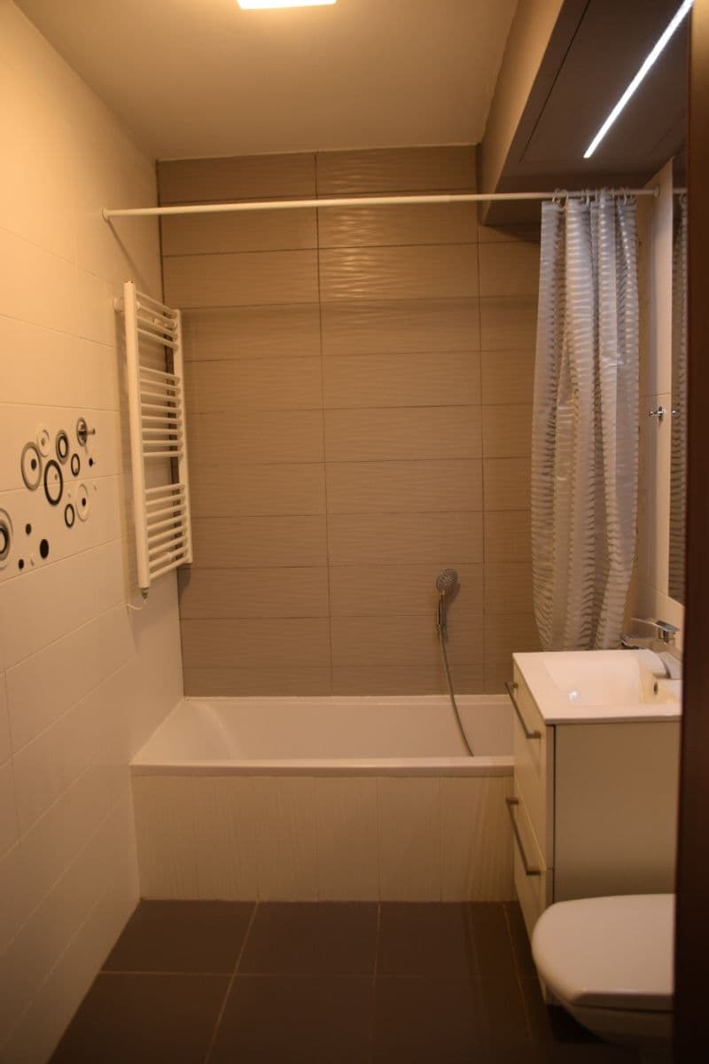 Pronájem bytu 2+kk 63 m², Cacovická, Brno, Jihomoravský kraj Pronájem bytu 2+kk 63 m², Cacovická, Brno, Jihomoravský kraj