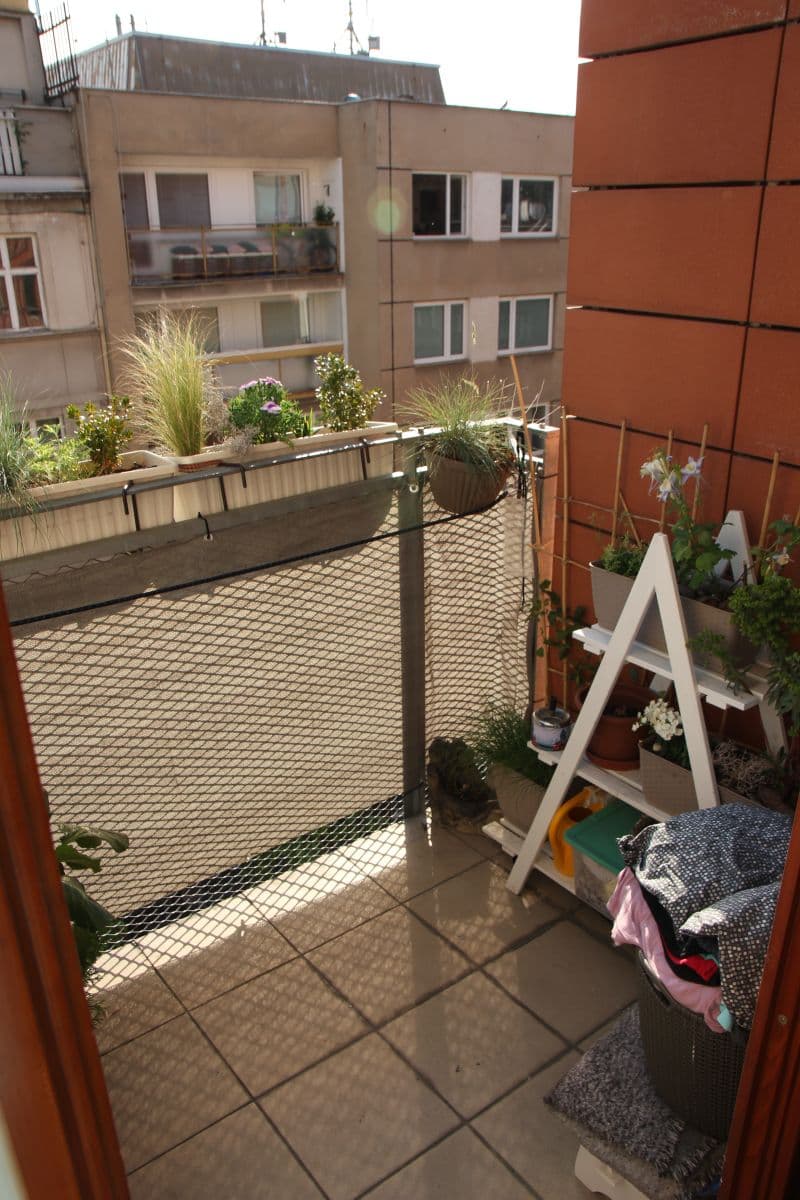 Pronájem bytu 1+kk 41 m², Lukášova, Praha, Praha Pronájem bytu 1+kk 41 m², Lukášova, Praha, Praha