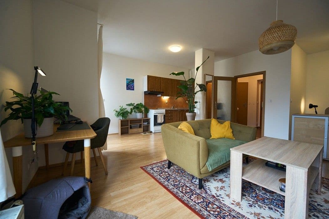 Pronájem bytu 1+kk 41 m², Lukášova, Praha, Praha Pronájem bytu 1+kk 41 m², Lukášova, Praha, Praha