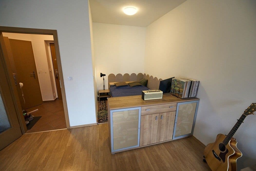 Pronájem bytu 1+kk 41 m², Lukášova, Praha, Praha Pronájem bytu 1+kk 41 m², Lukášova, Praha, Praha