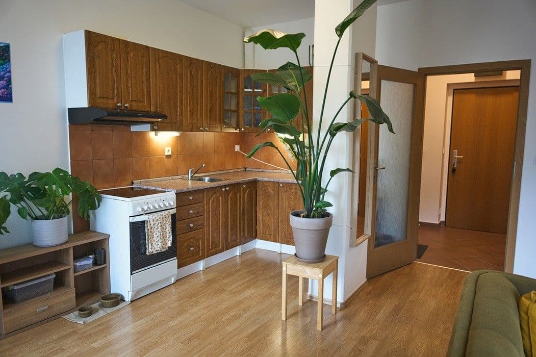 Pronájem bytu 1+kk 41 m², Lukášova, Praha, Praha Pronájem bytu 1+kk 41 m², Lukášova, Praha, Praha