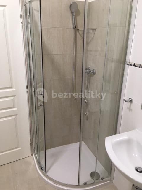 Pronájem bytu Garsoniéra 32 m², V Olšinách, Praha, Praha Pronájem bytu Garsoniéra 32 m², V Olšinách, Praha, Praha