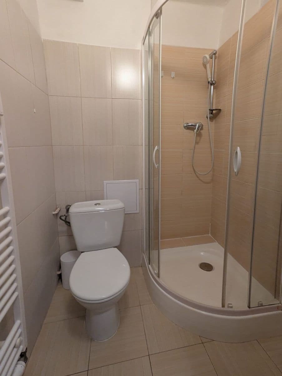 Pronájem bytu 1+1 30 m², Raisova, Plzeň, Plzeňský kraj Pronájem bytu 1+1 30 m², Raisova, Plzeň, Plzeňský kraj