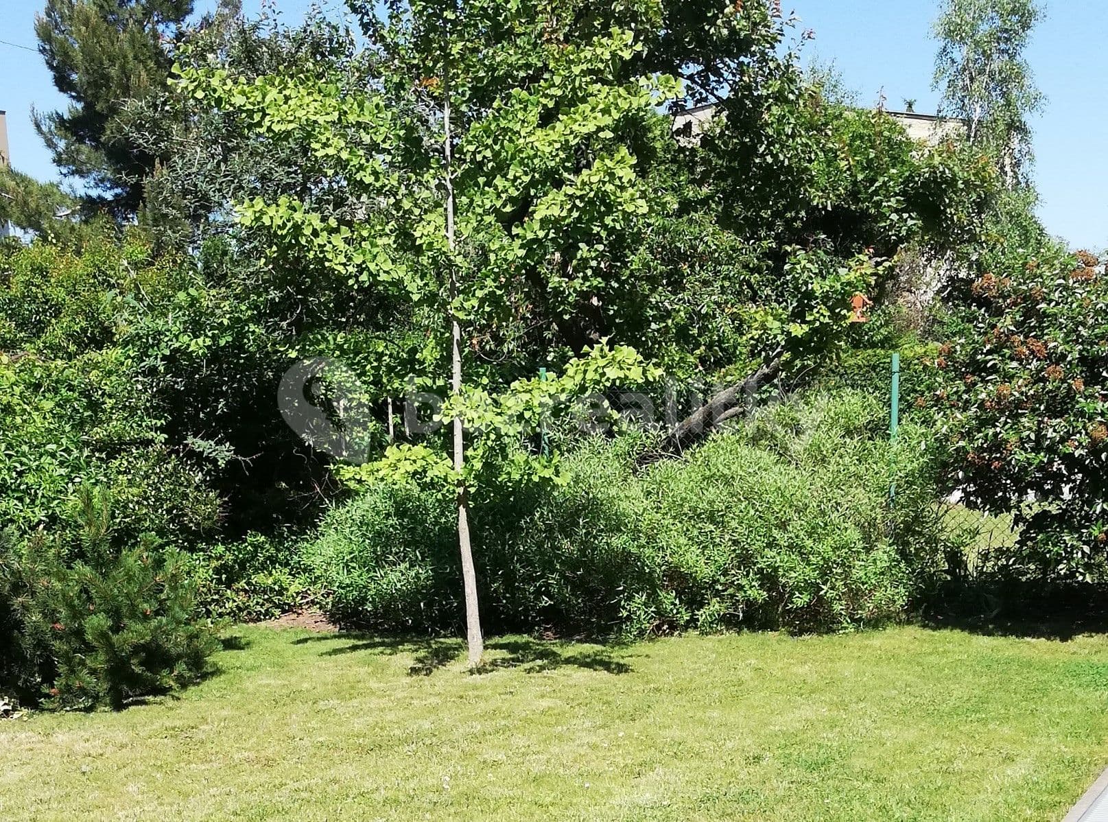 Pronájem bytu 3+1 91 m², Na Třebešíně, Praha, Praha Pronájem bytu 3+1 91 m², Na Třebešíně, Praha, Praha