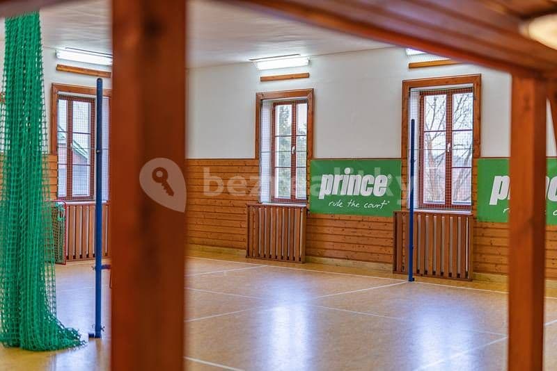 Pronájem chaty, chalupy, Říčky v Orlických horách, Královéhradecký kraj Pronájem chaty, chalupy, Říčky v Orlických horách, Královéhradecký kraj