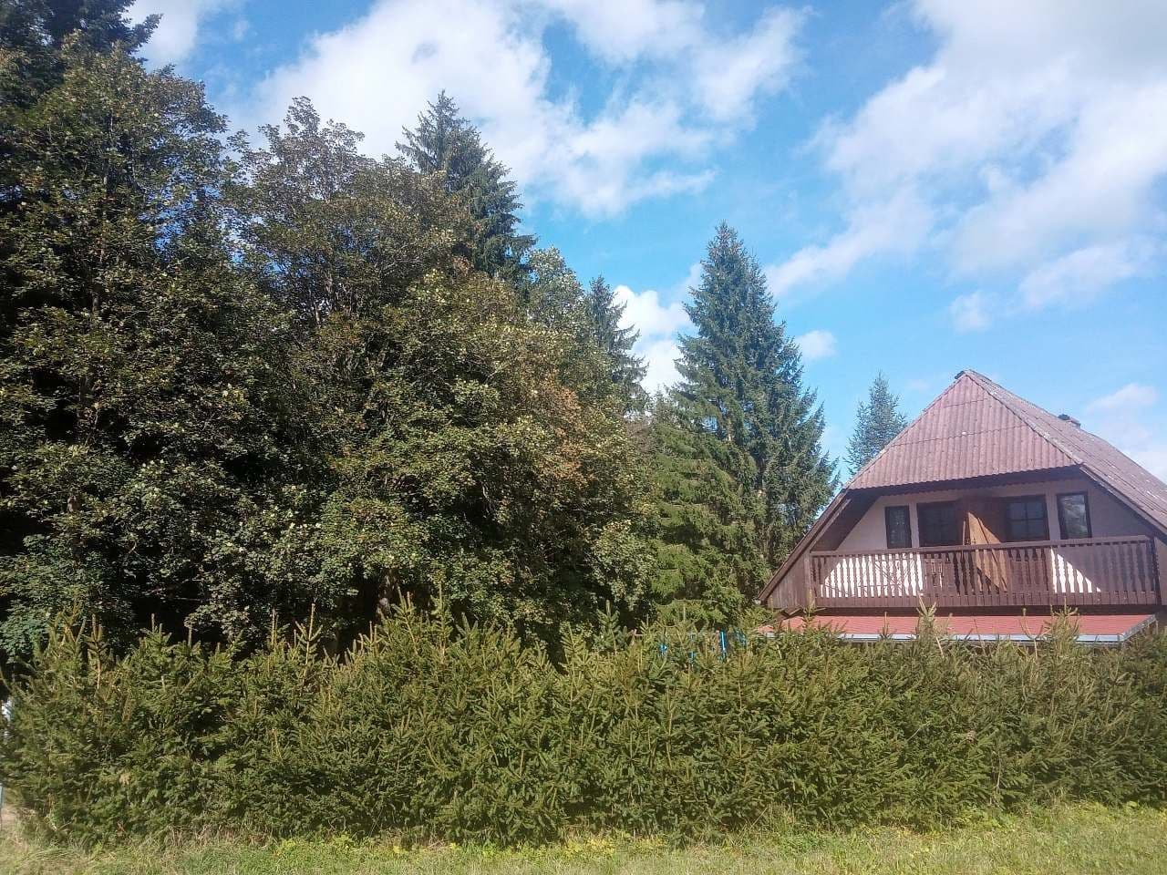 Pronájem chaty, chalupy, Frymburk, Jihočeský kraj Pronájem chaty, chalupy, Frymburk, Jihočeský kraj