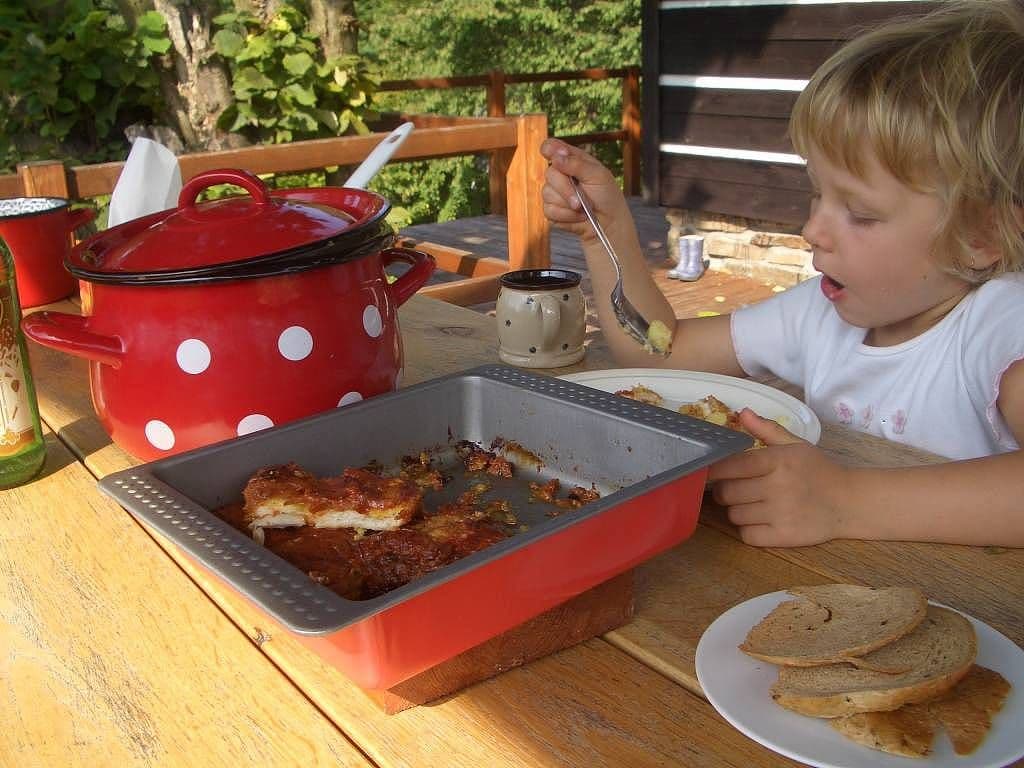 Pronájem chaty, chalupy, Zdobnice, Královéhradecký kraj Pronájem chaty, chalupy, Zdobnice, Královéhradecký kraj