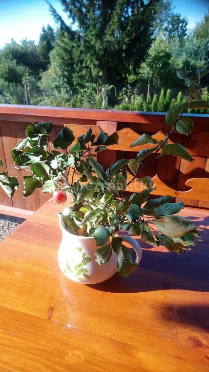 Pronájem chaty, chalupy, Krásná Lípa, Ústecký kraj Pronájem chaty, chalupy, Krásná Lípa, Ústecký kraj