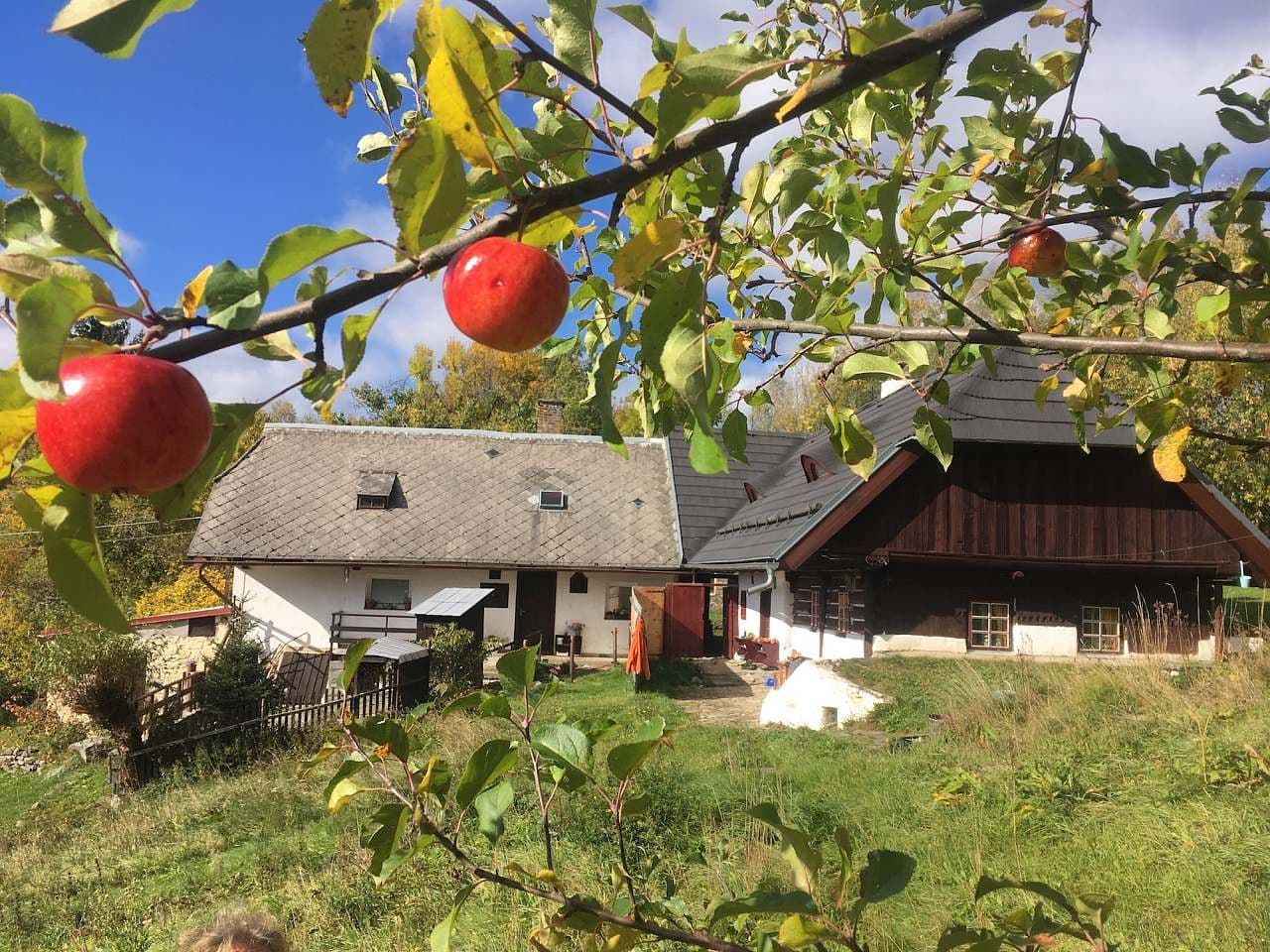 Pronájem chaty, chalupy, Stachy, Jihočeský kraj Pronájem chaty, chalupy, Stachy, Jihočeský kraj
