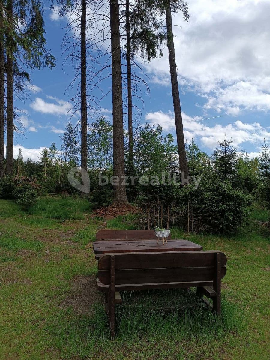 Pronájem chaty, chalupy, Frymburk, Jihočeský kraj Pronájem chaty, chalupy, Frymburk, Jihočeský kraj