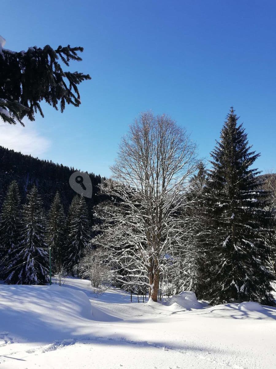 Pronájem chaty, chalupy, Špindlerův Mlýn, Královéhradecký kraj Pronájem chaty, chalupy, Špindlerův Mlýn, Královéhradecký kraj