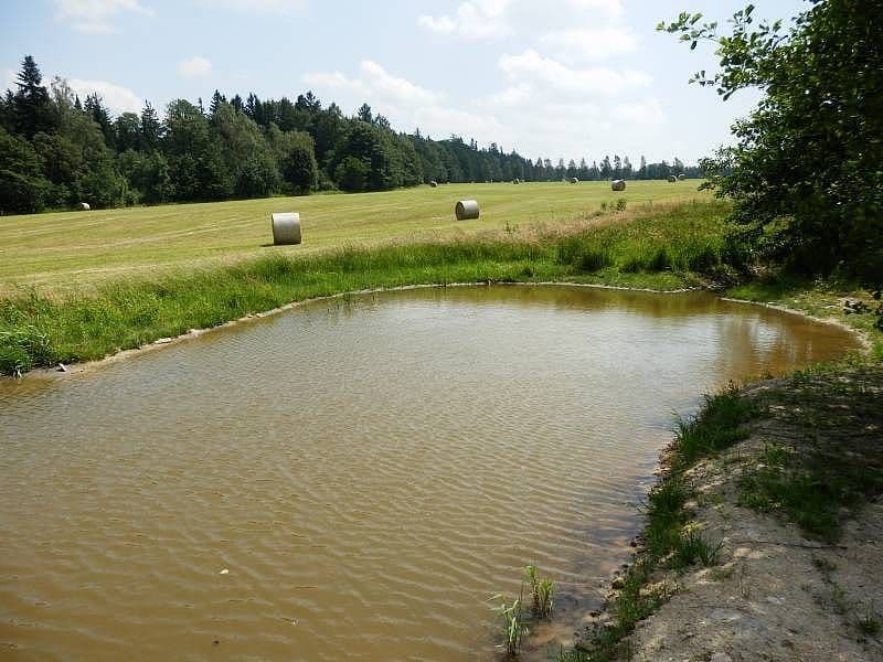 Pronájem chaty, chalupy, Dědová, Pardubický kraj Pronájem chaty, chalupy, Dědová, Pardubický kraj
