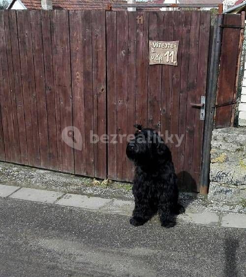 Pronájem chaty, chalupy, Hříšice, Jihočeský kraj Pronájem chaty, chalupy, Hříšice, Jihočeský kraj