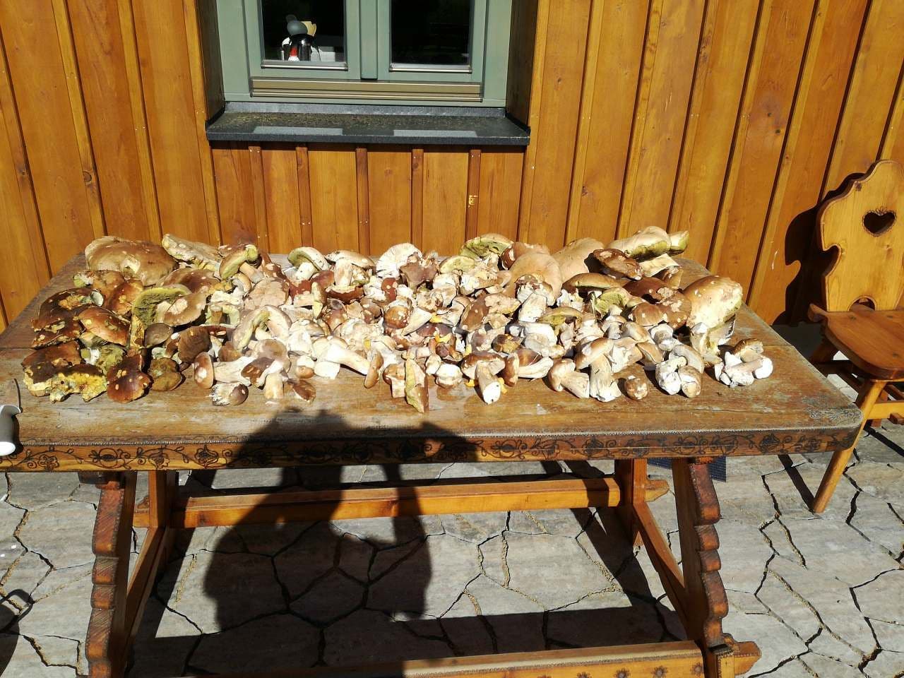 Pronájem chaty, chalupy, Lenora, Jihočeský kraj Pronájem chaty, chalupy, Lenora, Jihočeský kraj