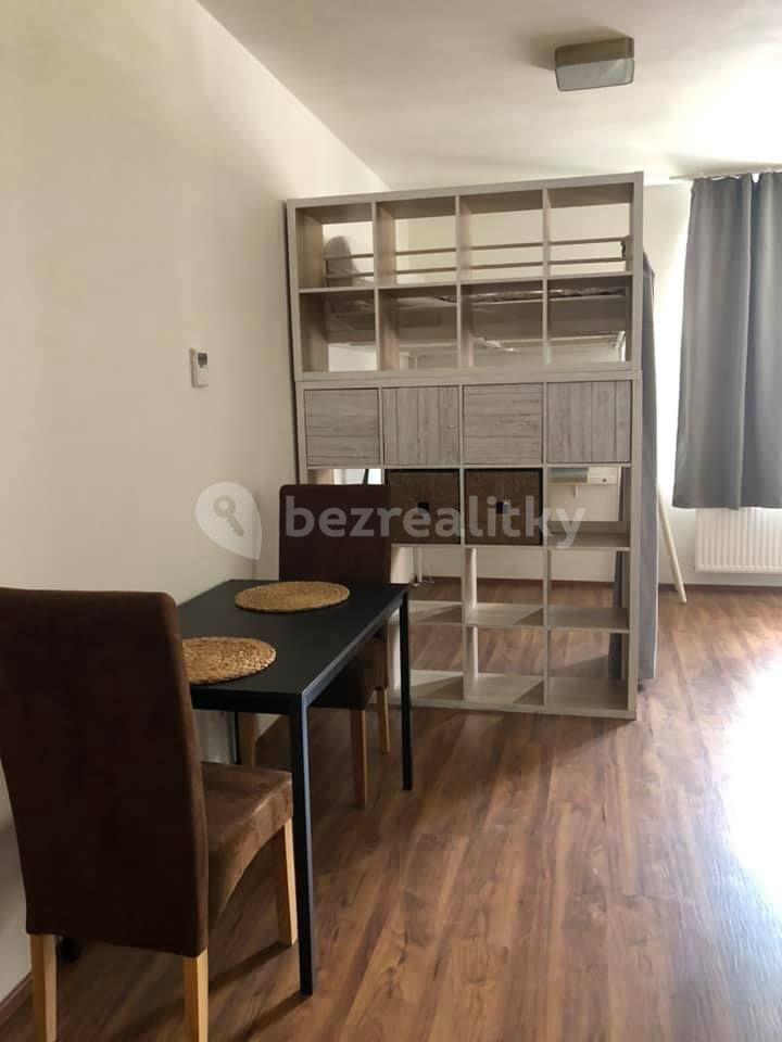 Pronájem bytu 1+kk 41 m², Novodvorská, Brno, Jihomoravský kraj