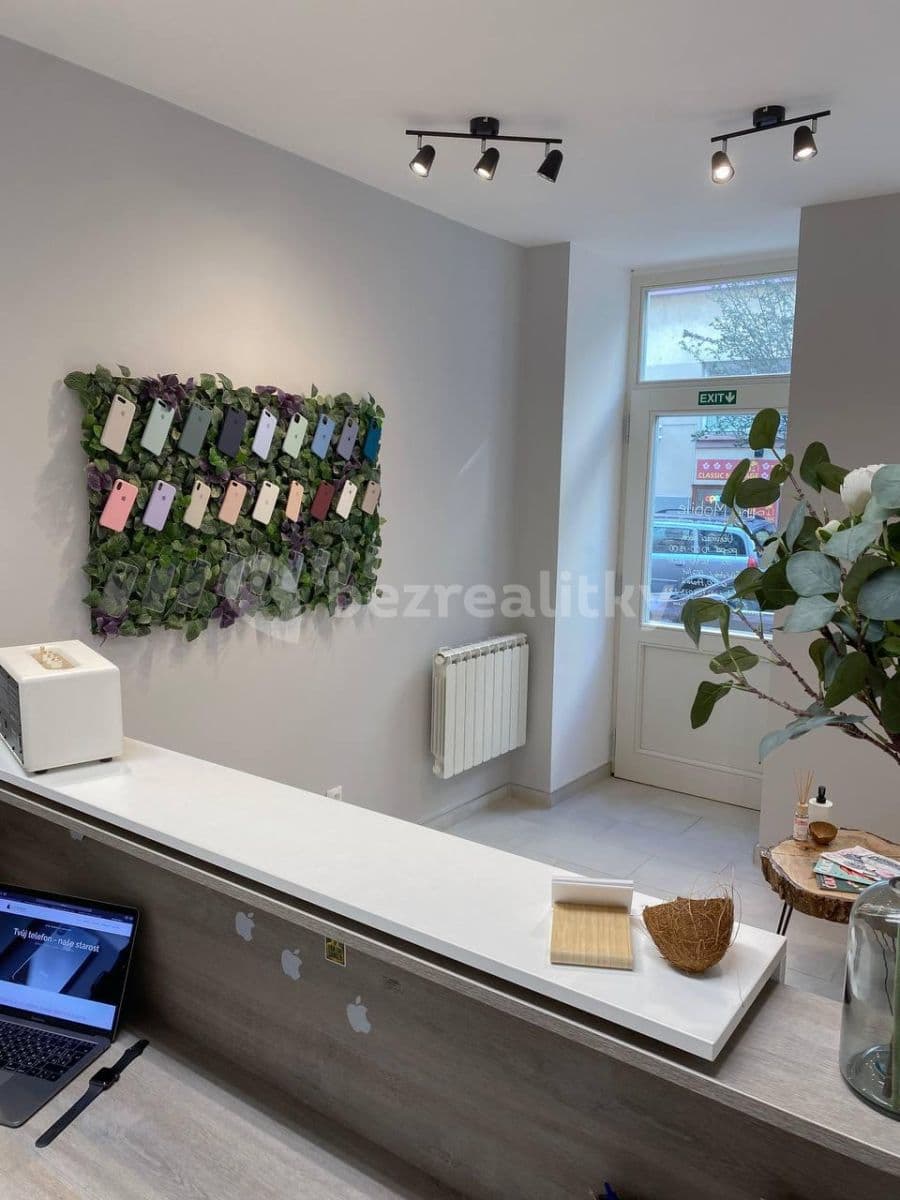 Pronájem nebytového prostoru 34 m², Záhřebská, Praha, Praha Pronájem nebytového prostoru 34 m², Záhřebská, Praha, Praha