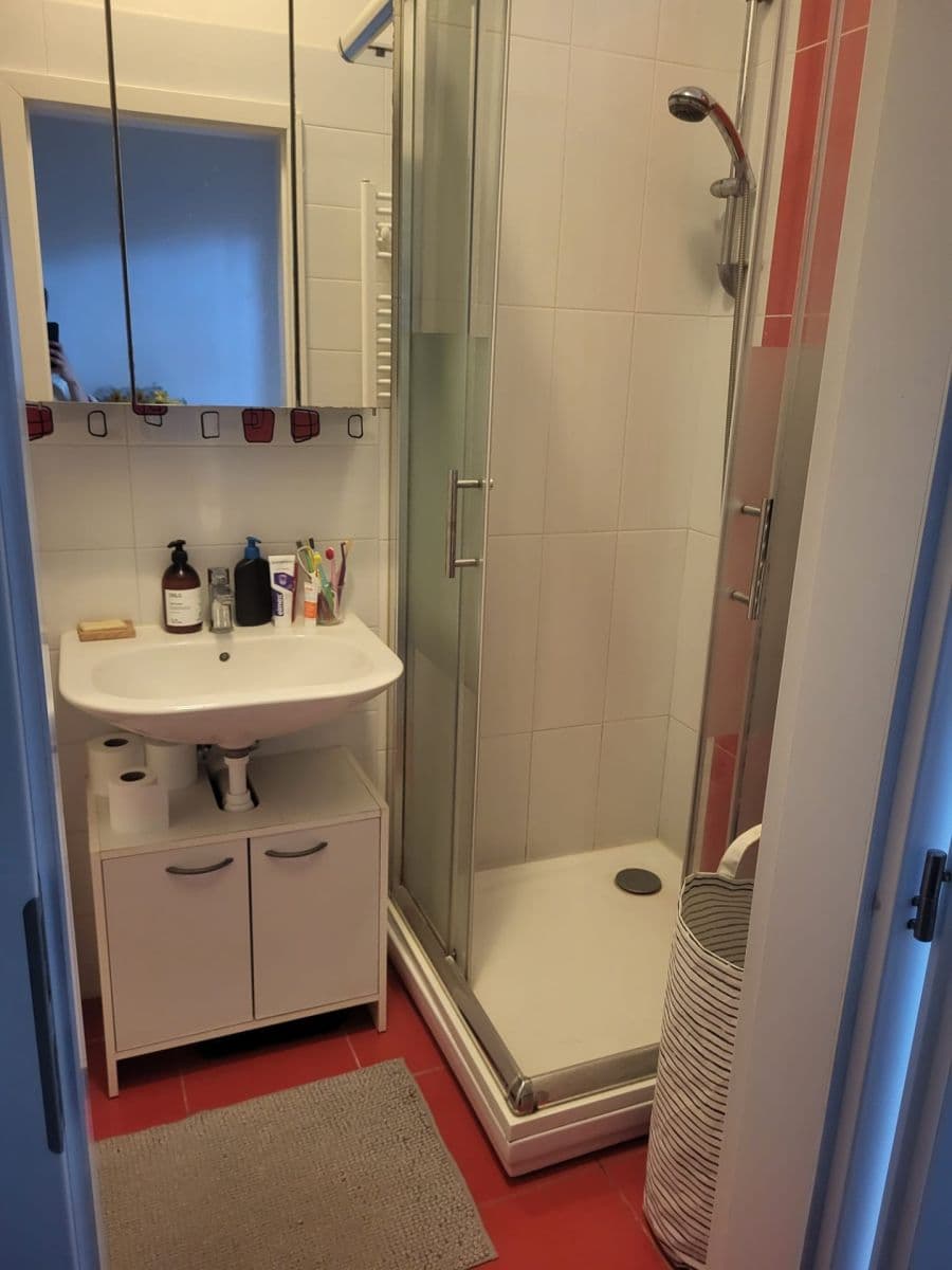 Pronájem bytu 2+1 57 m², Přibyslavská, Praha, Praha Pronájem bytu 2+1 57 m², Přibyslavská, Praha, Praha