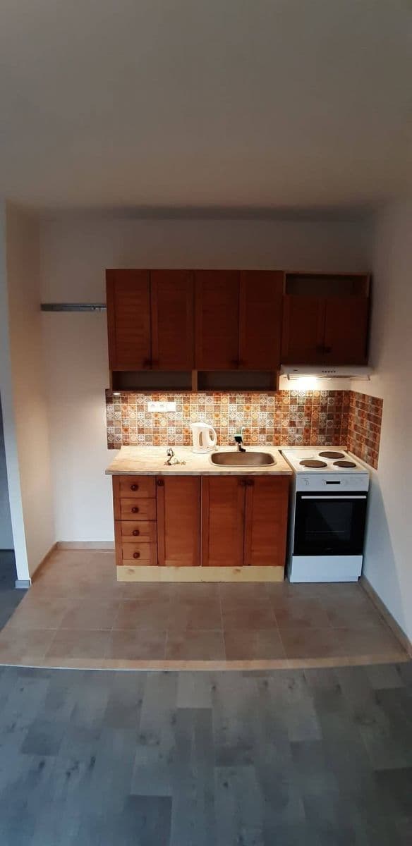 Pronájem bytu 1+kk 32 m², Ševelova, Brno, Jihomoravský kraj Pronájem bytu 1+kk 32 m², Ševelova, Brno, Jihomoravský kraj
