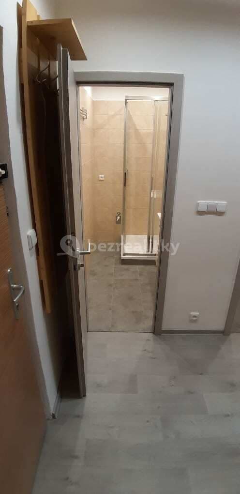 Pronájem bytu 1+kk 32 m², Ševelova, Brno, Jihomoravský kraj Pronájem bytu 1+kk 32 m², Ševelova, Brno, Jihomoravský kraj