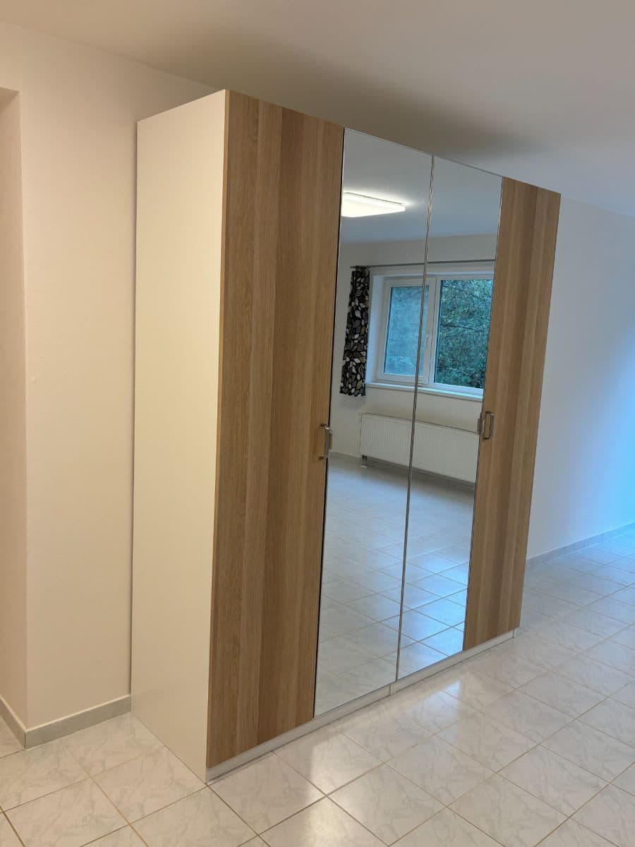 Pronájem bytu 1+kk 37 m², Kostomlatská, Praha, Praha Pronájem bytu 1+kk 37 m², Kostomlatská, Praha, Praha