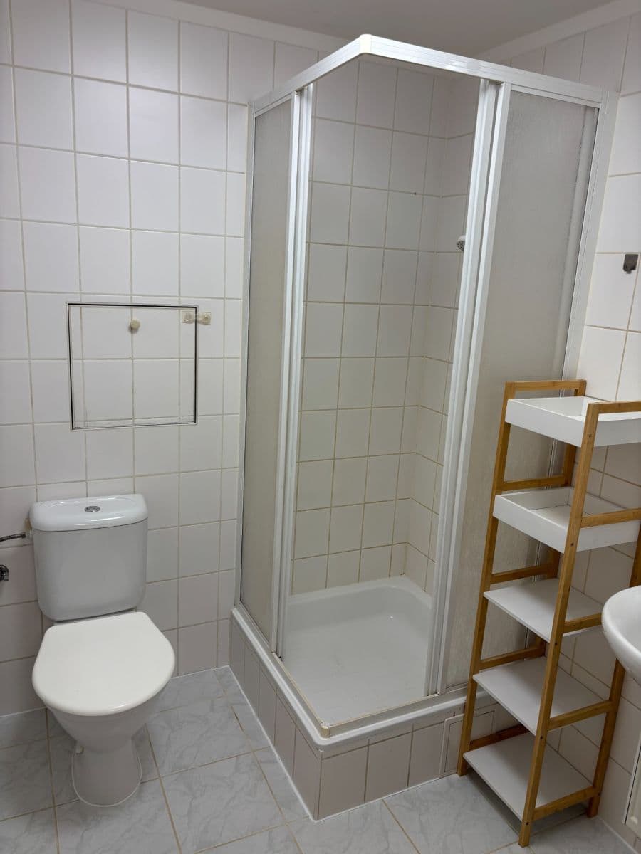 Pronájem bytu 1+kk 37 m², Kostomlatská, Praha, Praha Pronájem bytu 1+kk 37 m², Kostomlatská, Praha, Praha
