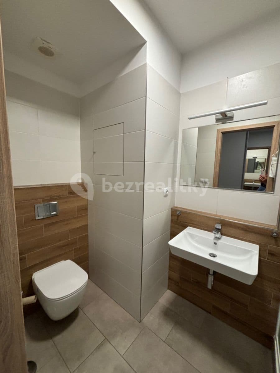 Pronájem bytu 1+kk 39 m², Pod Vinicí, Pardubice, Pardubický kraj Pronájem bytu 1+kk 39 m², Pod Vinicí, Pardubice, Pardubický kraj